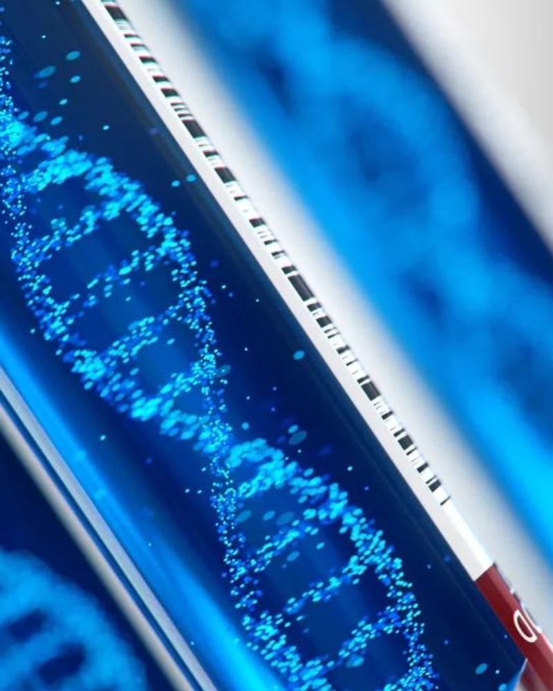 Untitled_design_e8bd16ee-5253-47b1-8c0b-d727dd2c336d