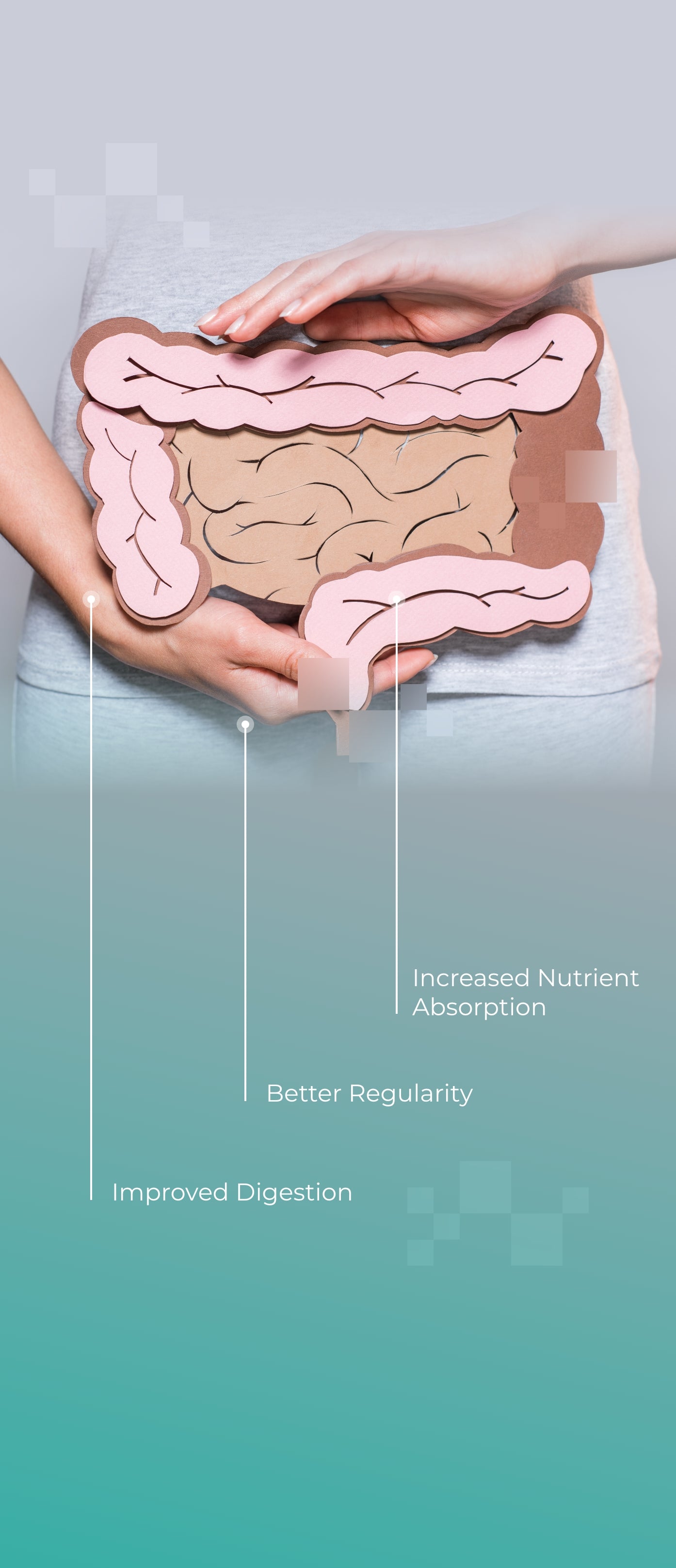 image_gut_your-gut-microbiome-could-help-you