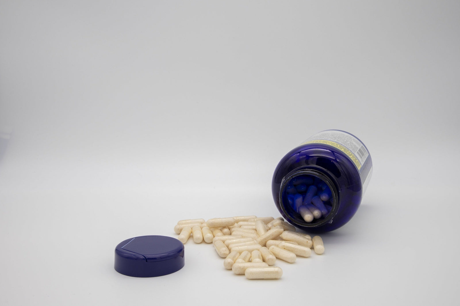 Daily Probiotic Guide: How It Impacts Your Gut Health and Everyday Life