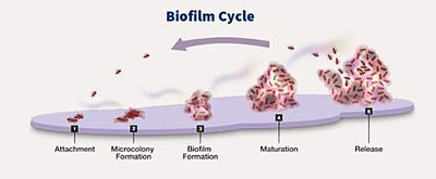 Ther-Biotic® InterFase®