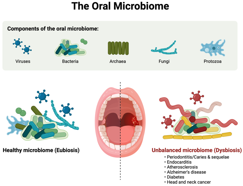 Oral Microbiome Test