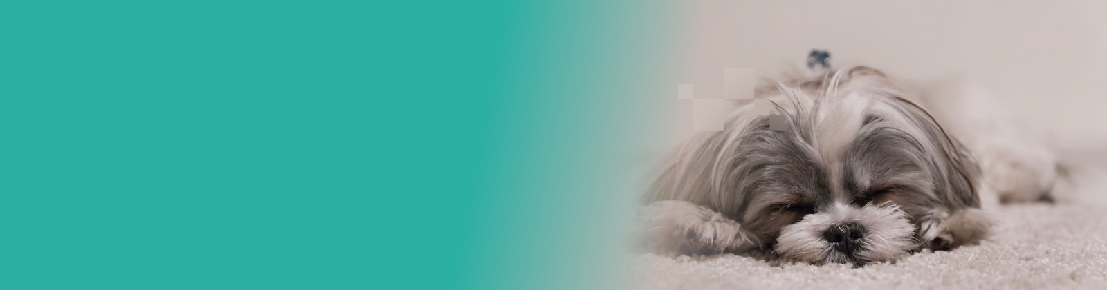 background_sleep-banner