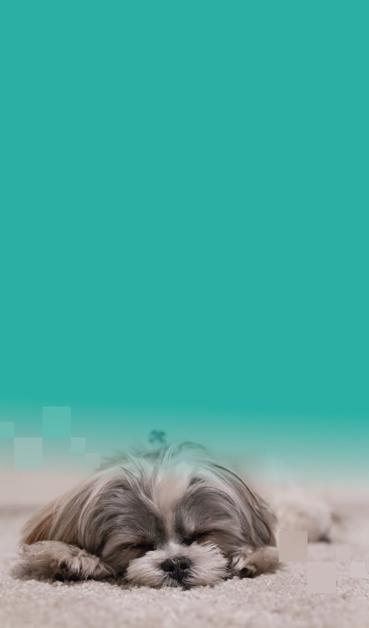 background_sleep-quiz-mobile