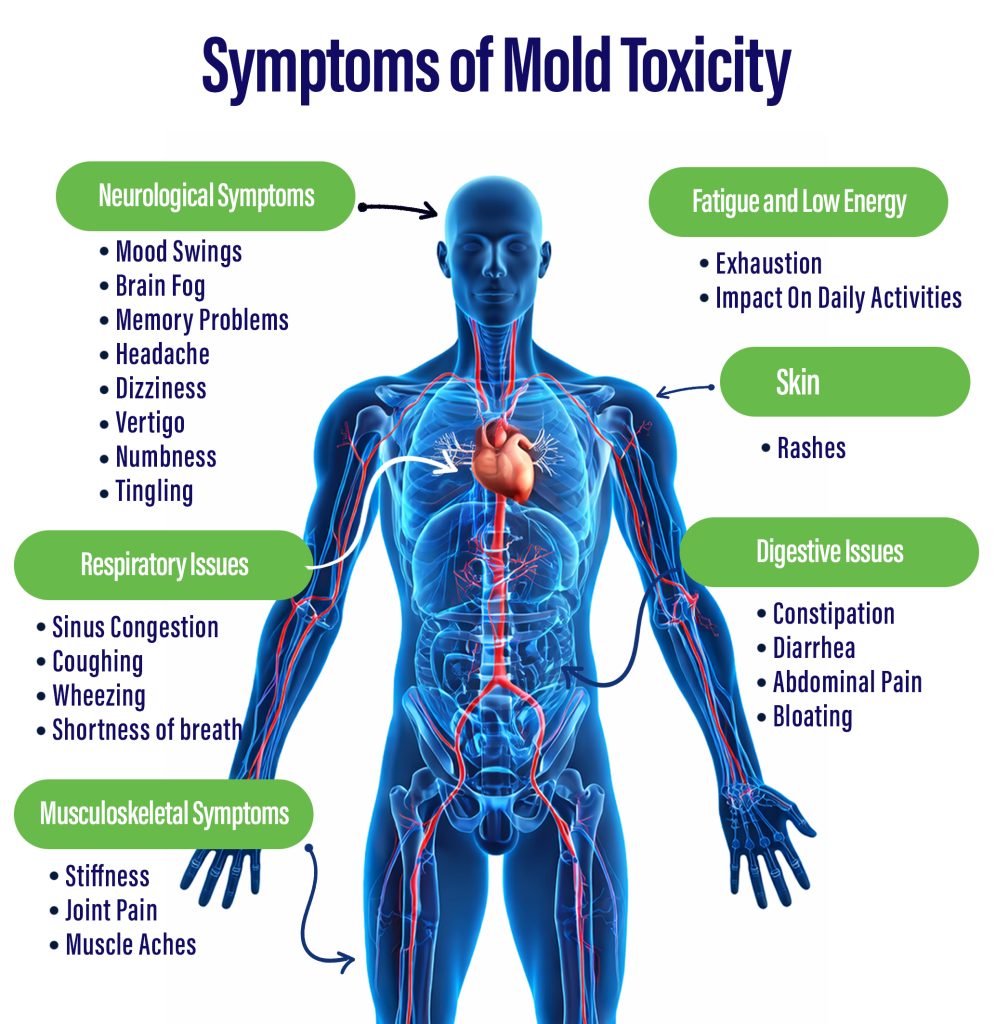 Mold Toxicity Test