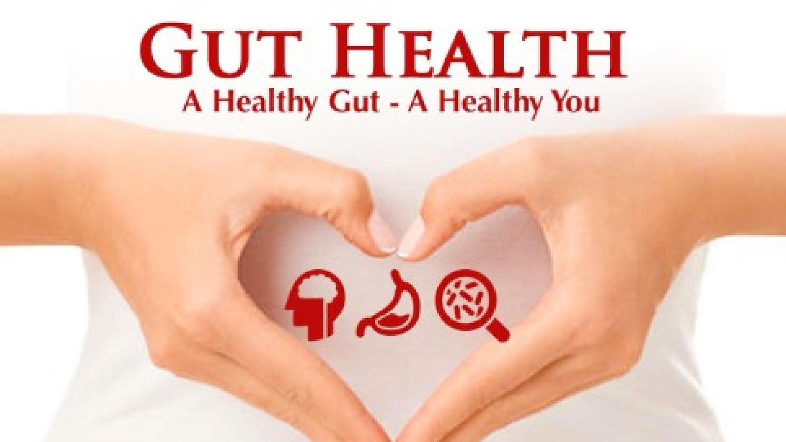 Gut Health & Fermented Food Workshop